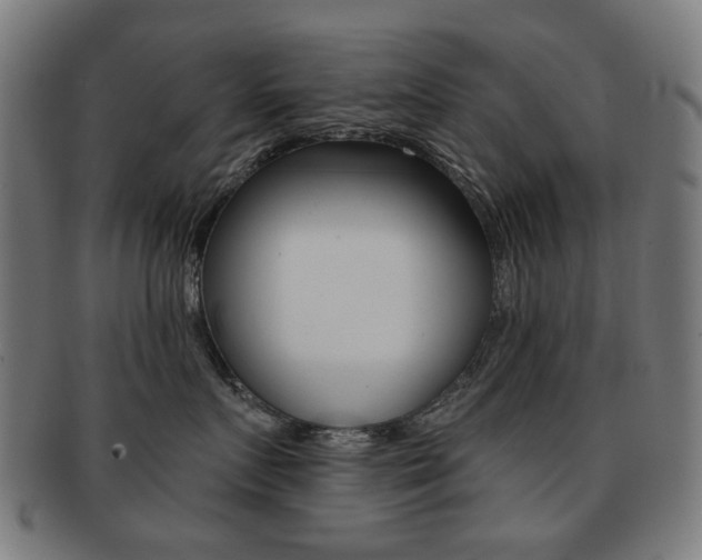 X0000091890719200709051044