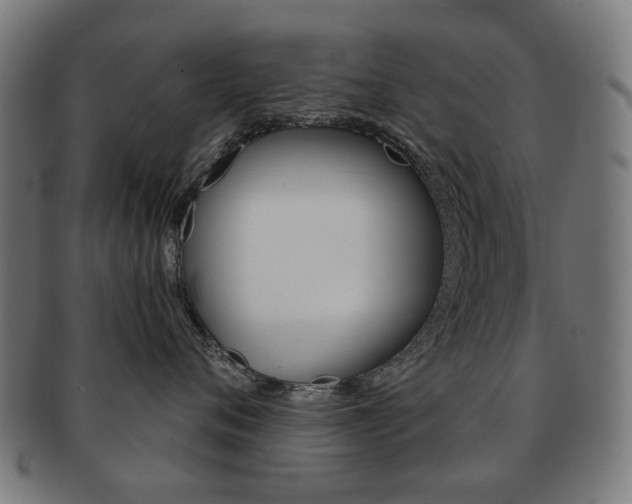 X0000091890720200709051044