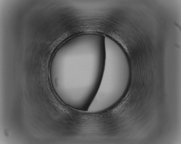 X0000091890721200709051044