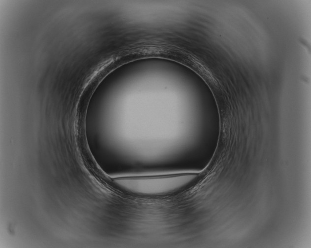 X0000091890722200709051044