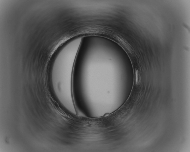 X0000091890723200709051044
