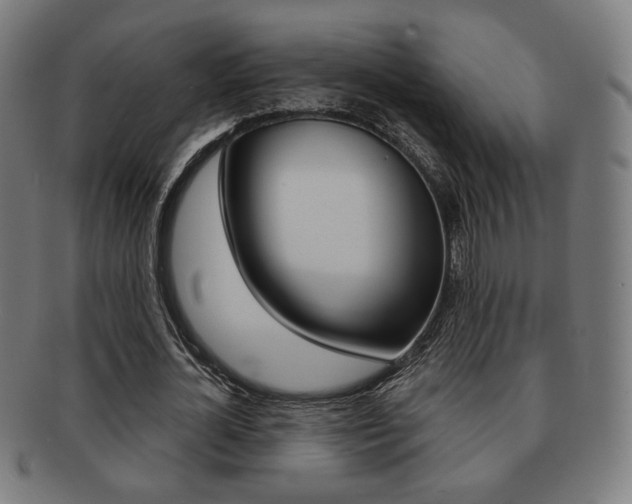X0000091890724200709051044