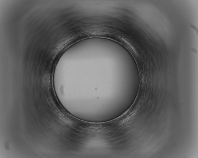 X0000091890725200709051044