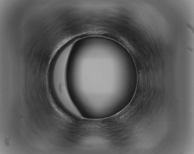 X0000091890726200709051044