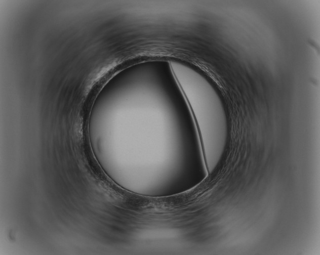 X0000091890727200709051044