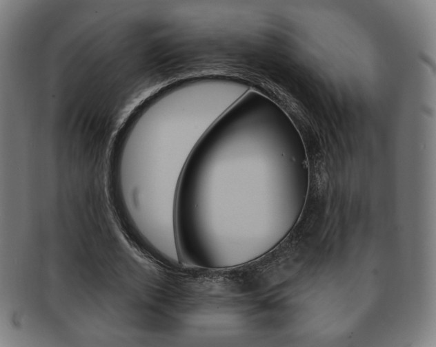 X0000091890728200709051044
