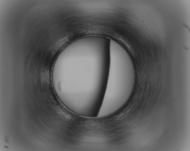 X0000091890729200709051044