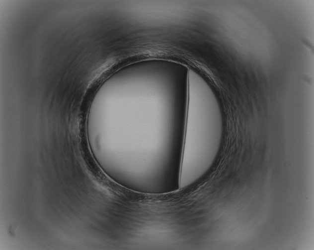 X0000091890730200709051044