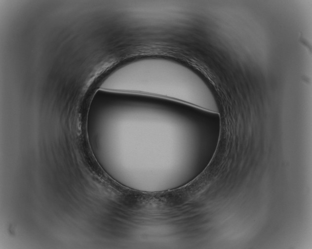 X0000091890731200709051044