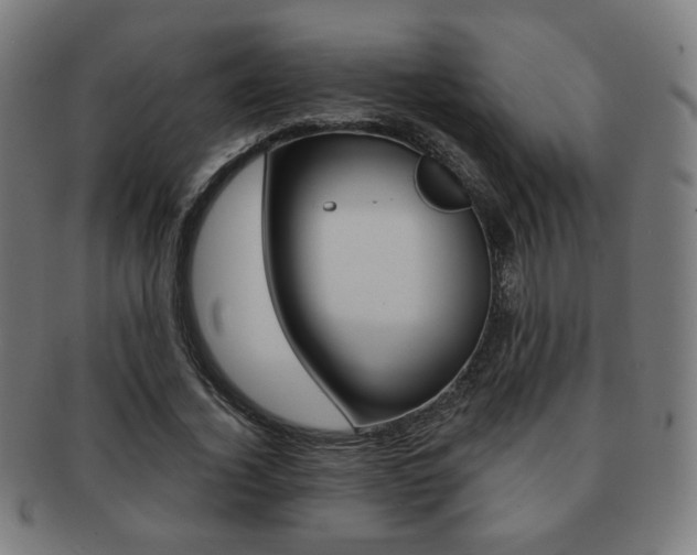 X0000091890732200709051044