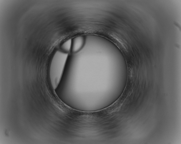 X0000091890733200709051044