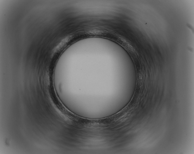 X0000091890734200709051044