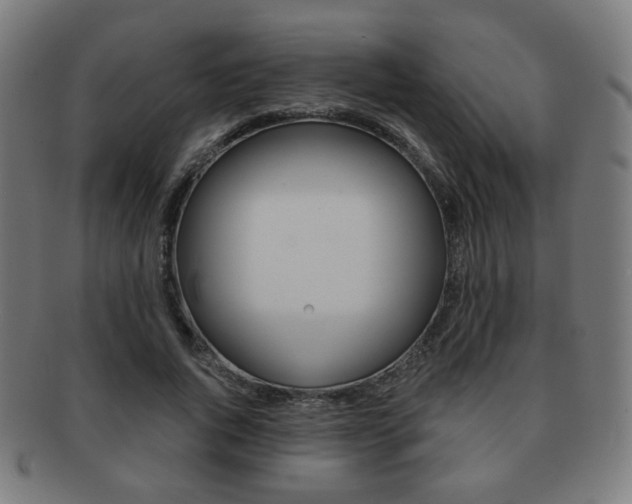 X0000091890736200709051044