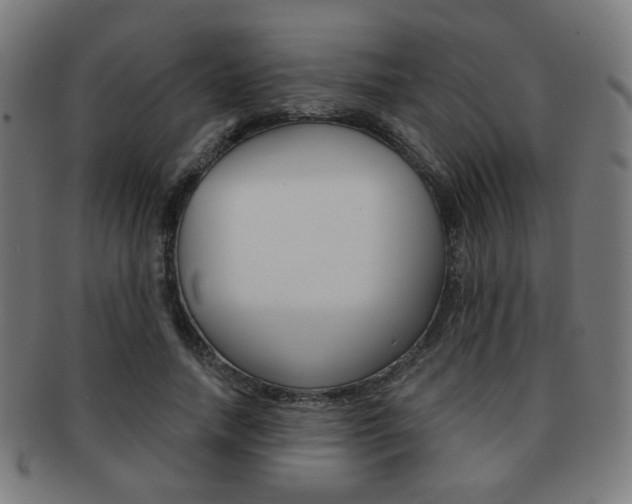 X0000091890738200709051044