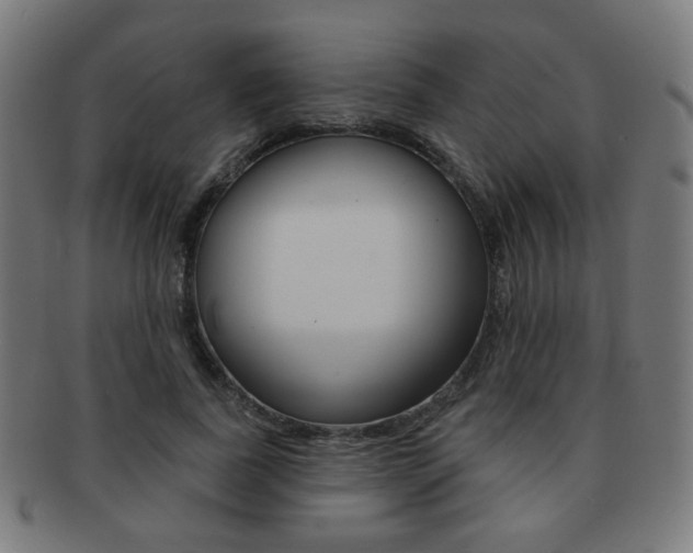 X0000091890739200709051044