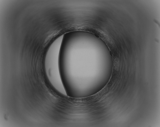 X0000091890740200709051044