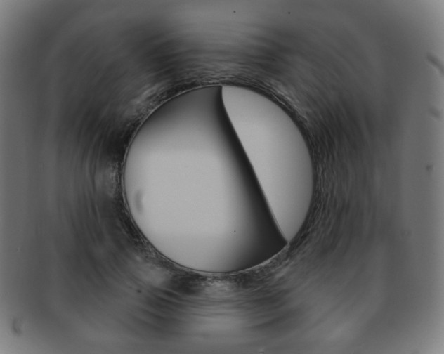 X0000091890741200709051044