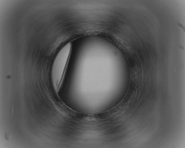 X0000091890742200709051044