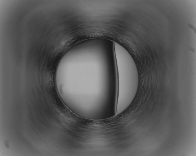 X0000091890743200709051044