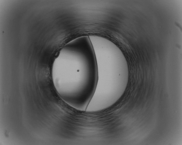 X0000091890748200709051044