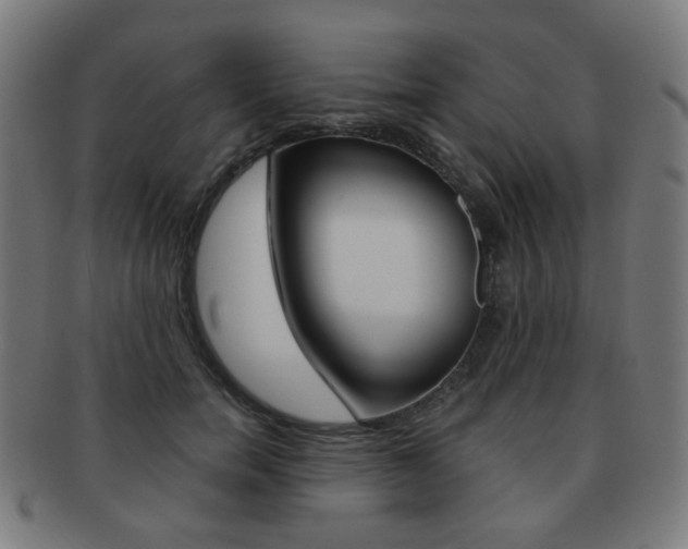 X0000091890750200709051044