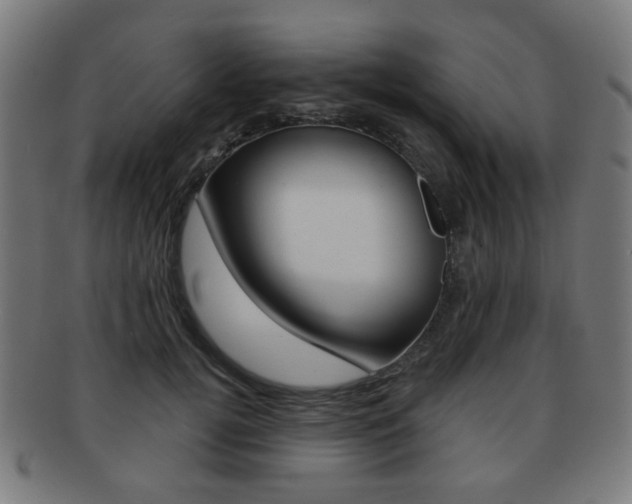 X0000091890752200709051044