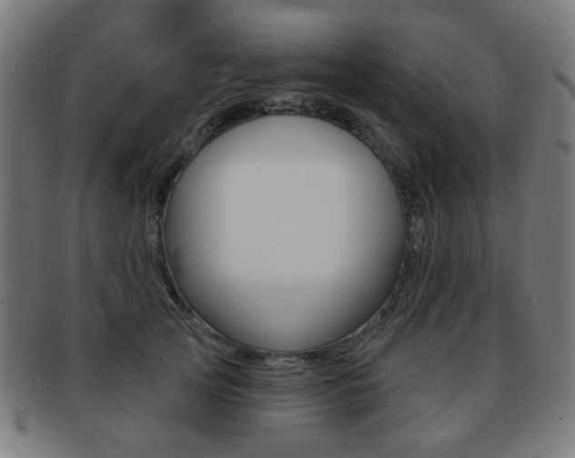 X0000091890753200709051044