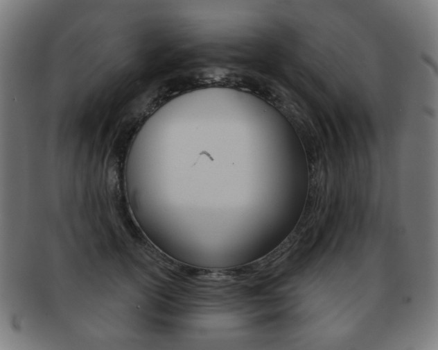 X0000091890754200709051044