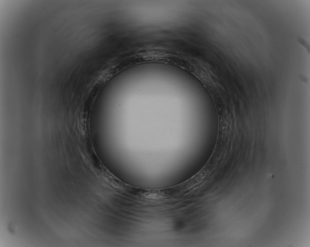 X0000091890755200709051044