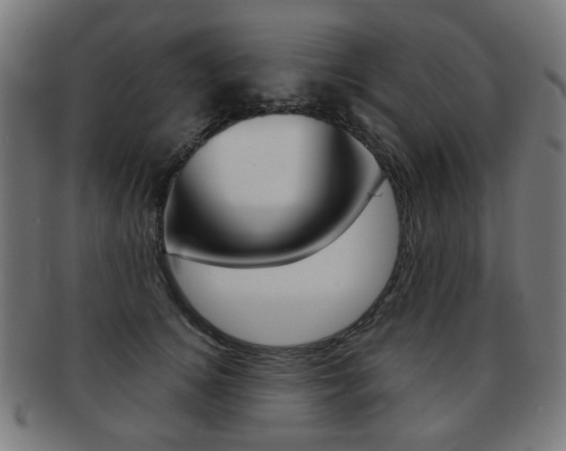 X0000091890756200709051044