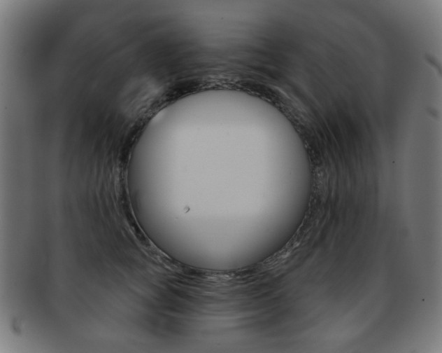 X0000091890757200709051044
