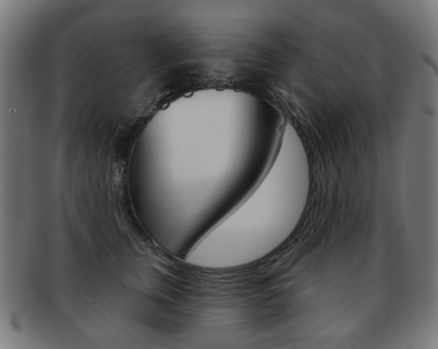X0000091890759200709051044