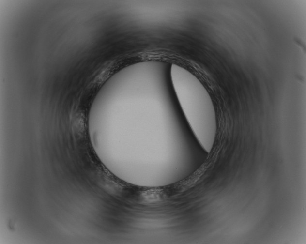 X0000091890761200709051044