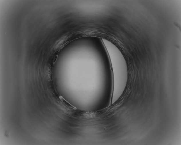 X0000091890762200709051044