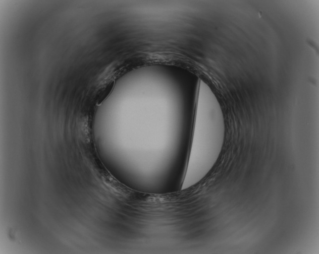 X0000091890764200709051044