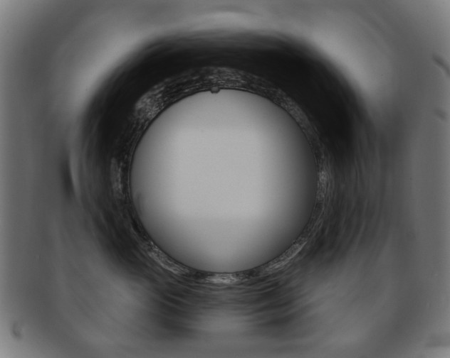 X0000091890765200709051044