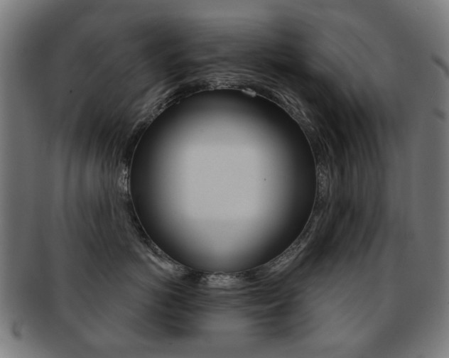 X0000091890766200709051044