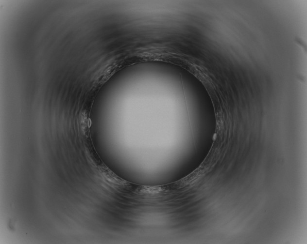 X0000091890767200709051044
