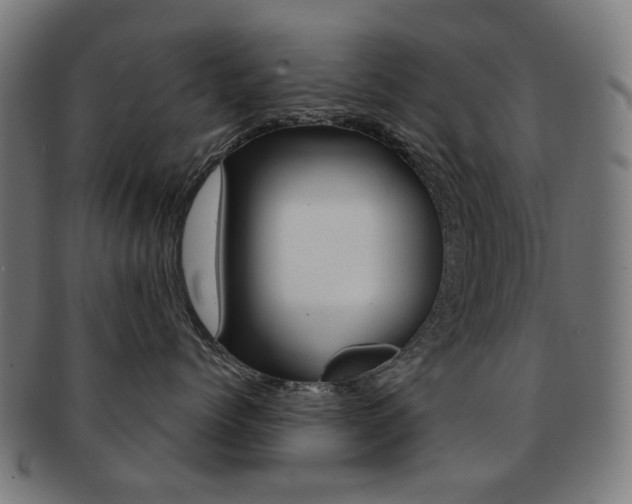 X0000091890768200709051044