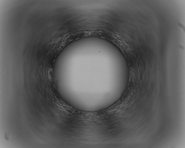 X0000091890770200709051044