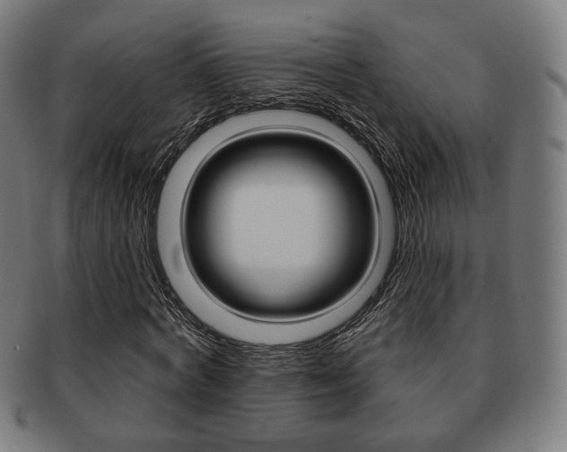 X0000091890772200709051044