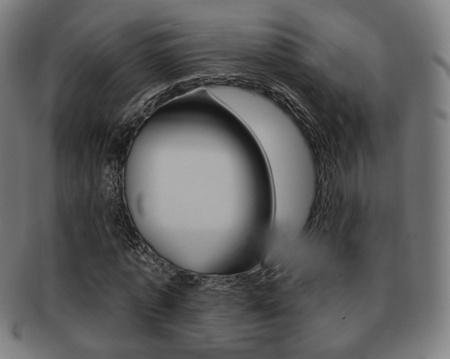 X0000091890773200709051044