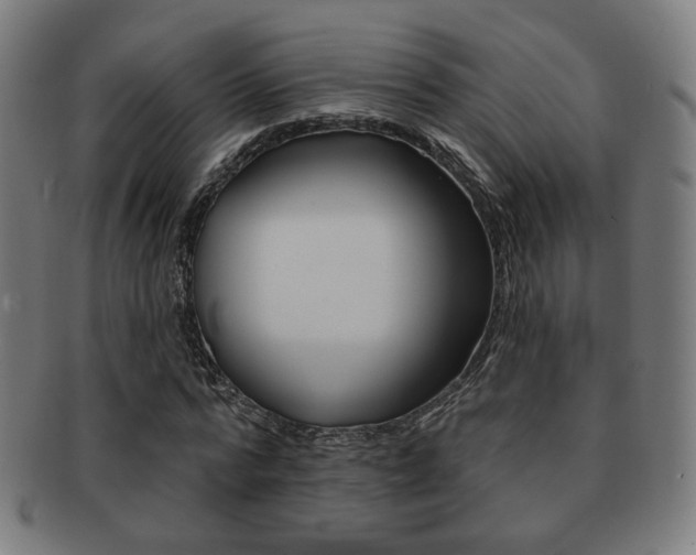 X0000091890776200709051044