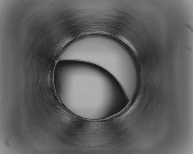 X0000091890777200709051044