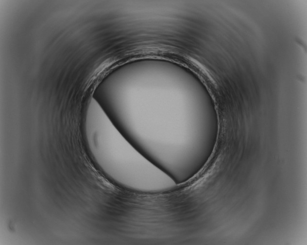 X0000091890778200709051044