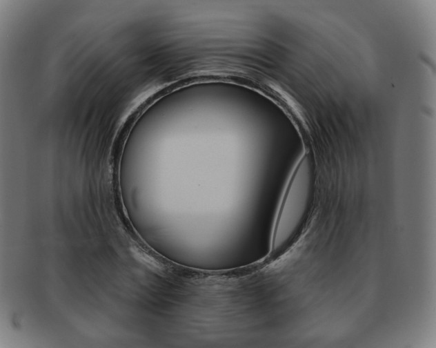 X0000091890779200709051044