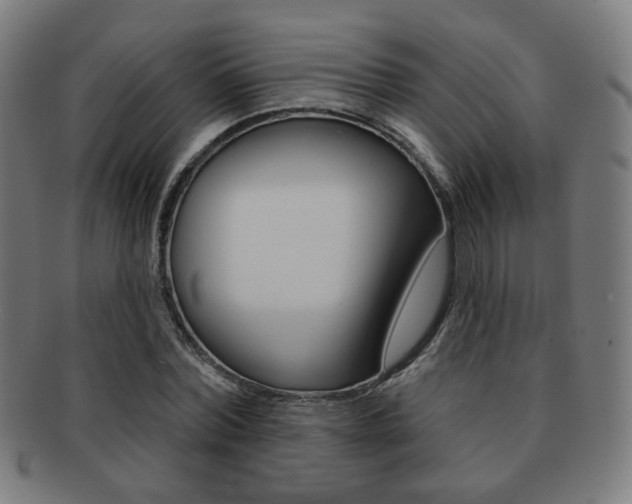 X0000091890780200709051044