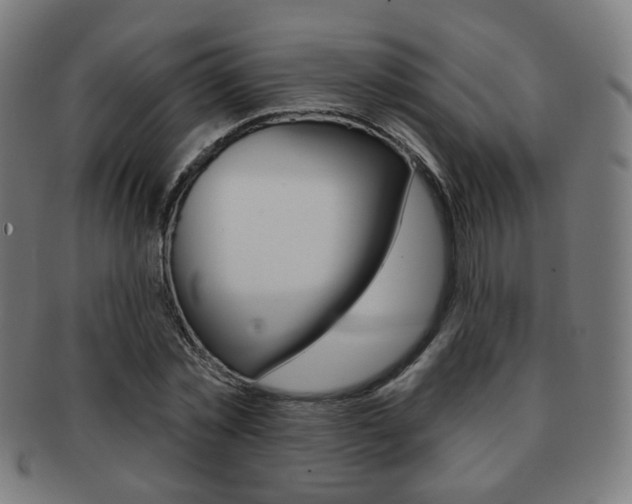 X0000091890781200709051044