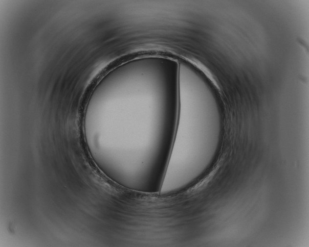 X0000091890783200709051044
