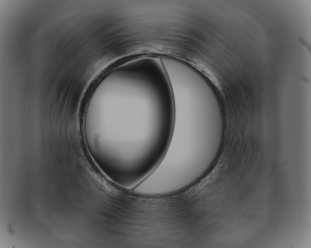 X0000091890784200709051044